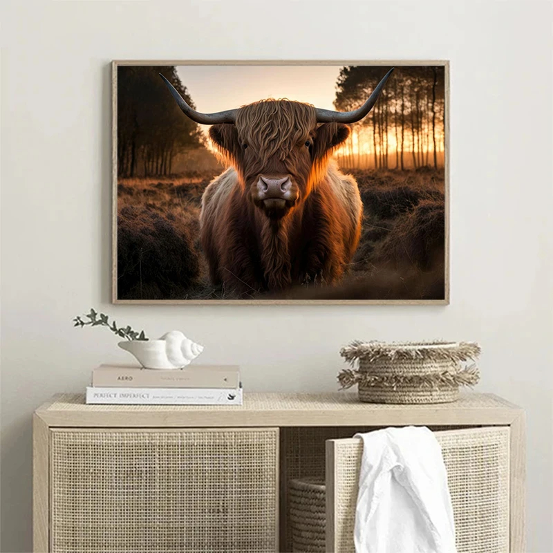 İskoç Highlanders posteri Hayv - Photography Nature incelemesi ve fiyatı