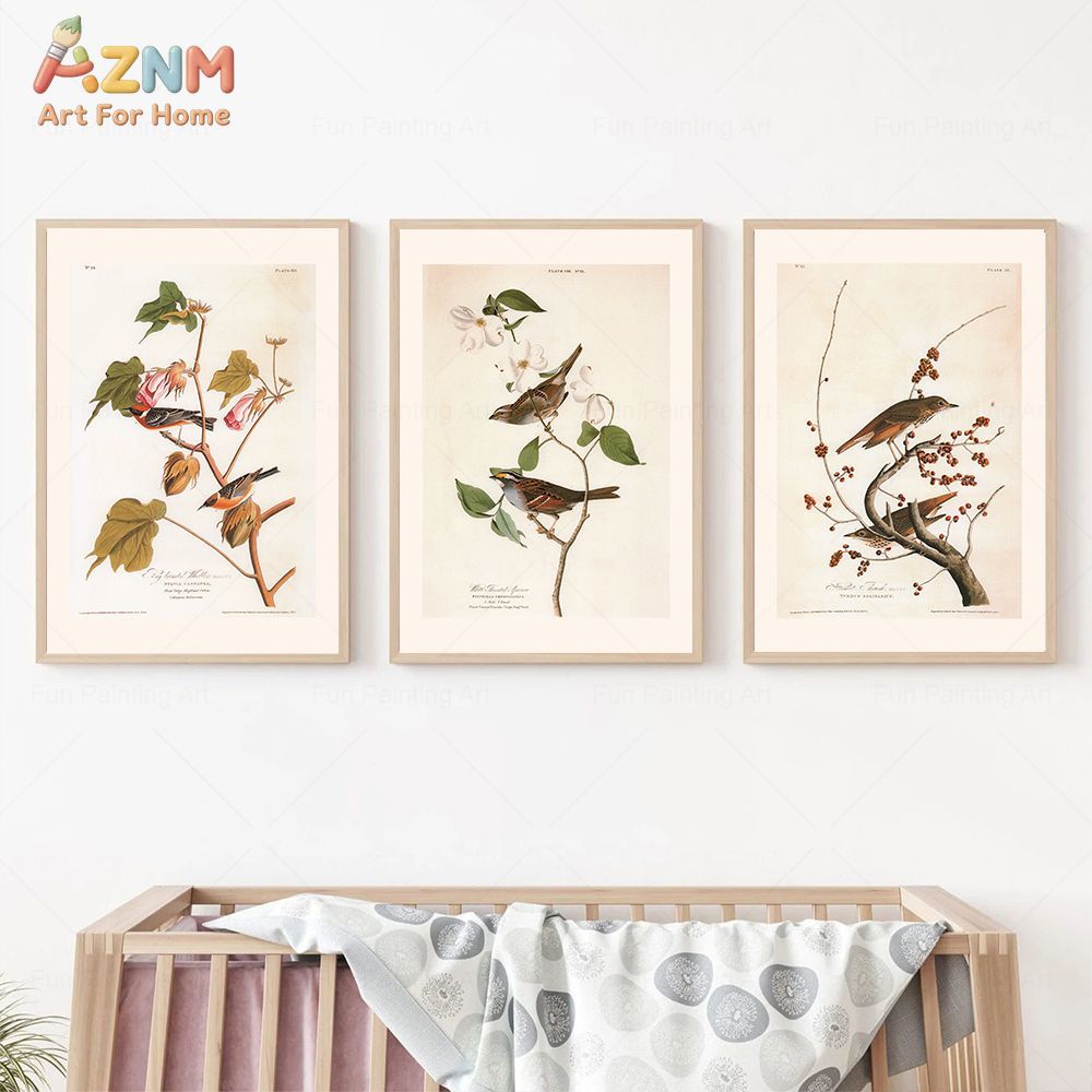 AZNM Vintage Audubon Kuş Kanva - Photography Nature incelemesi ve fiyatı